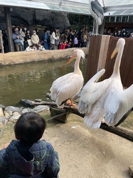 神戸どうぶつ王国に投稿された画像（2024/1/6）