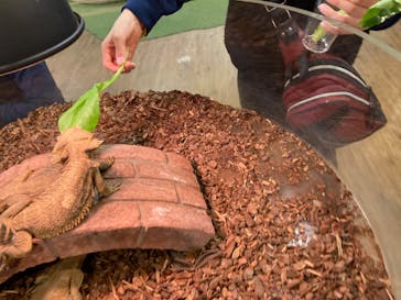 NARA IKIMONO MUSEUMに投稿された画像（2024/1/6）