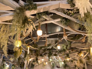 NARA IKIMONO MUSEUMに投稿された画像（2024/1/6）