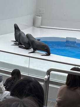 鴨川シーワールドに投稿された画像（2024/1/6）