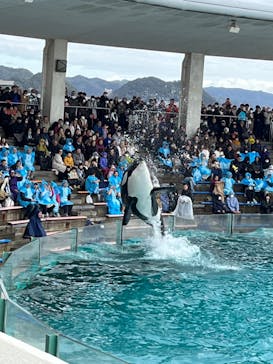 鴨川シーワールドに投稿された画像（2024/1/6）