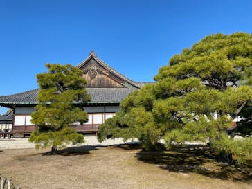 元離宮二条城に投稿された画像（2024/1/6）