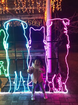 神戸イルミナージュに投稿された画像（2024/1/6）