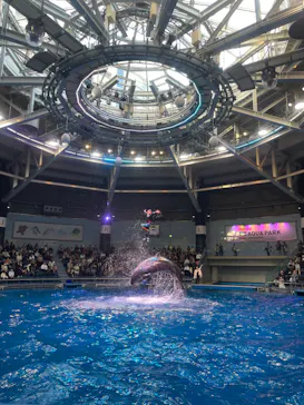 マクセル アクアパーク品川に投稿された画像（2024/1/6）