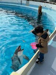 マリンワールド海の中道に投稿された画像（2024/1/6）