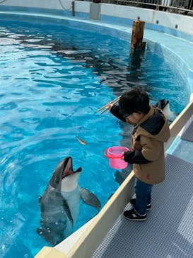 マリンワールド海の中道に投稿された画像（2024/1/6）