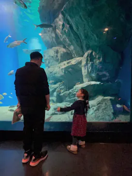 マクセル アクアパーク品川に投稿された画像（2024/1/6）