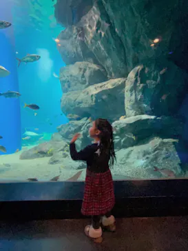 マクセル アクアパーク品川に投稿された画像（2024/1/6）