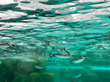 天王寺動物園に投稿された画像（2024/1/6）