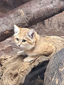 那須どうぶつ王国に投稿された画像（2024/1/6）