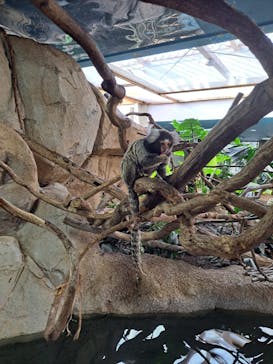 那須どうぶつ王国に投稿された画像（2024/1/6）