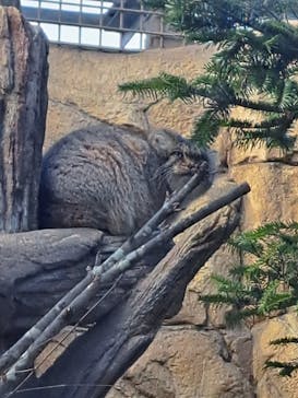 那須どうぶつ王国に投稿された画像（2024/1/6）