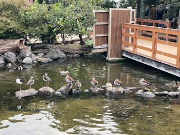 神戸どうぶつ王国に投稿された画像（2024/1/6）