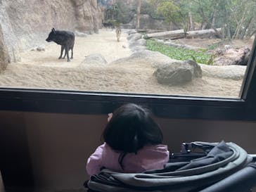 神戸どうぶつ王国に投稿された画像（2024/1/6）