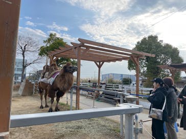 神戸どうぶつ王国に投稿された画像（2024/1/6）