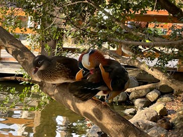 神戸どうぶつ王国に投稿された画像（2024/1/6）