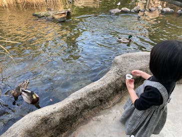 神戸どうぶつ王国に投稿された画像（2024/1/6）