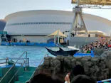 名古屋港水族館に投稿された画像（2024/1/6）