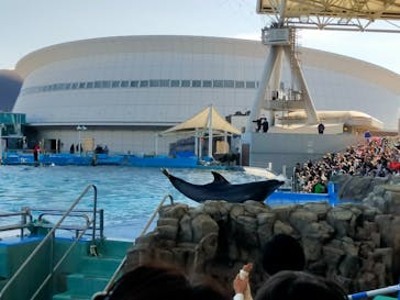 名古屋港水族館に投稿された画像（2024/1/6）