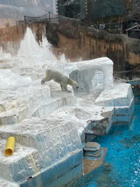 天王寺動物園に投稿された画像（2024/1/6）