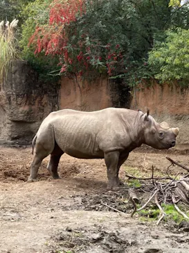 天王寺動物園に投稿された画像（2024/1/6）