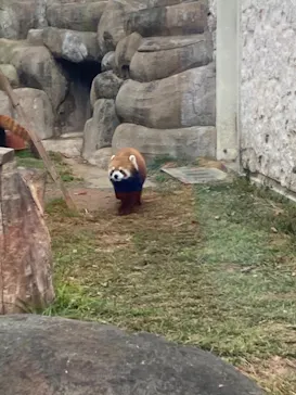 天王寺動物園に投稿された画像（2024/1/6）
