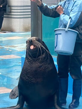 ゼロ距離水族館 伊勢シーパラダイスに投稿された画像（2024/1/6）
