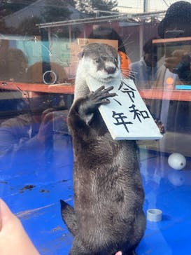 ゼロ距離水族館 伊勢シーパラダイスに投稿された画像（2024/1/6）