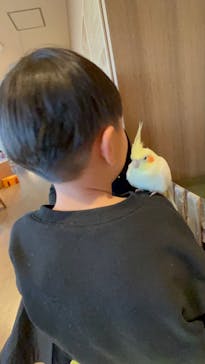 Moff animal cafe 小田原ダイナシティ店に投稿された画像（2024/1/6）