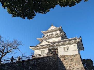 小田原城に投稿された画像（2024/1/6）