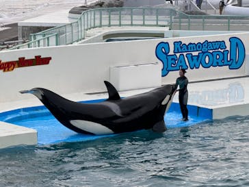 鴨川シーワールドに投稿された画像（2024/1/6）