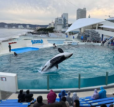 鴨川シーワールドに投稿された画像（2024/1/6）