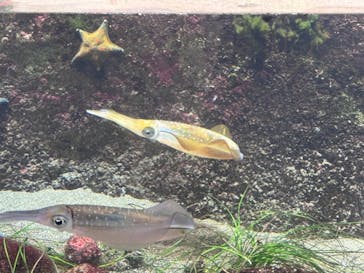 鴨川シーワールドに投稿された画像（2024/1/6）