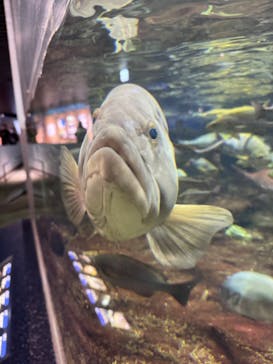 鴨川シーワールドに投稿された画像（2024/1/6）