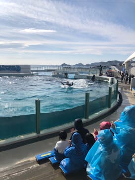 鴨川シーワールドに投稿された画像（2024/1/6）