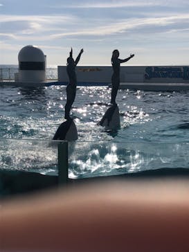 鴨川シーワールドに投稿された画像（2024/1/6）