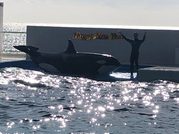 鴨川シーワールドに投稿された画像（2024/1/6）