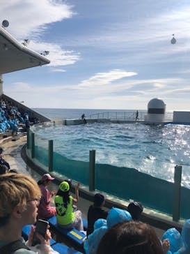 鴨川シーワールドに投稿された画像（2024/1/6）