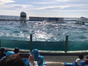 鴨川シーワールドに投稿された画像（2024/1/6）