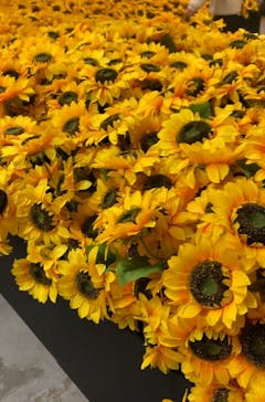 ゴッホ・アライブに投稿された画像（2024/1/6）