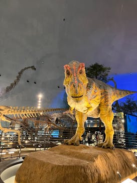 福井県立恐竜博物館に投稿された画像（2024/1/6）