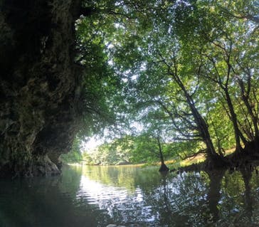 石垣島 ADVENTURE PiPi（イシガキジマアドベンチャーピピ）に投稿された画像（2024/1/6）