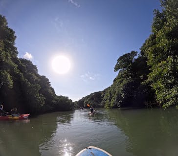 石垣島 ADVENTURE PiPi（イシガキジマアドベンチャーピピ）に投稿された画像（2024/1/6）