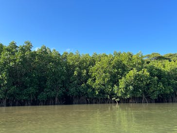 石垣島 ADVENTURE PiPi（イシガキジマアドベンチャーピピ）に投稿された画像（2024/1/6）