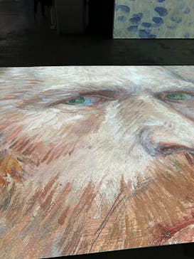 ゴッホ・アライブに投稿された画像（2024/1/6）