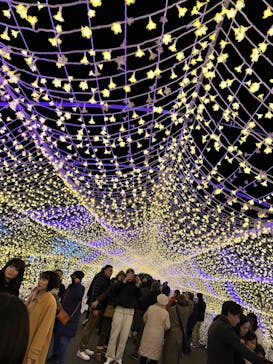 東京メガイルミに投稿された画像（2024/1/6）