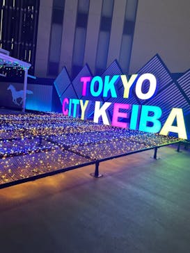 東京メガイルミに投稿された画像（2024/1/6）