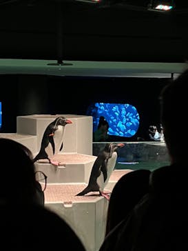 AOAO SAPPOROに投稿された画像（2024/1/6）