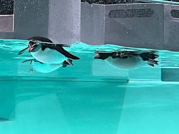 AOAO SAPPOROに投稿された画像（2024/1/6）