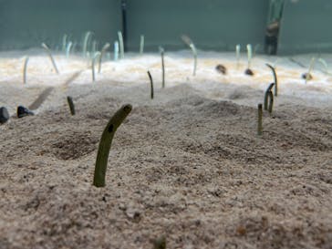 AOAO SAPPOROに投稿された画像（2024/1/6）